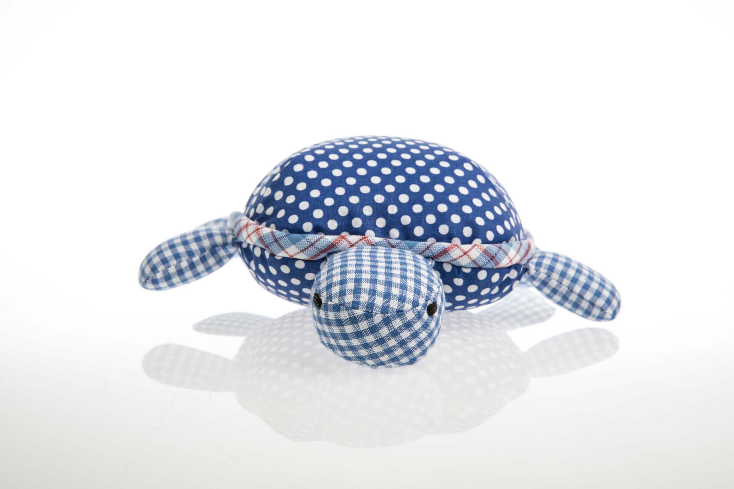 SCHILDKRÖTE-005 Schildkröte blau