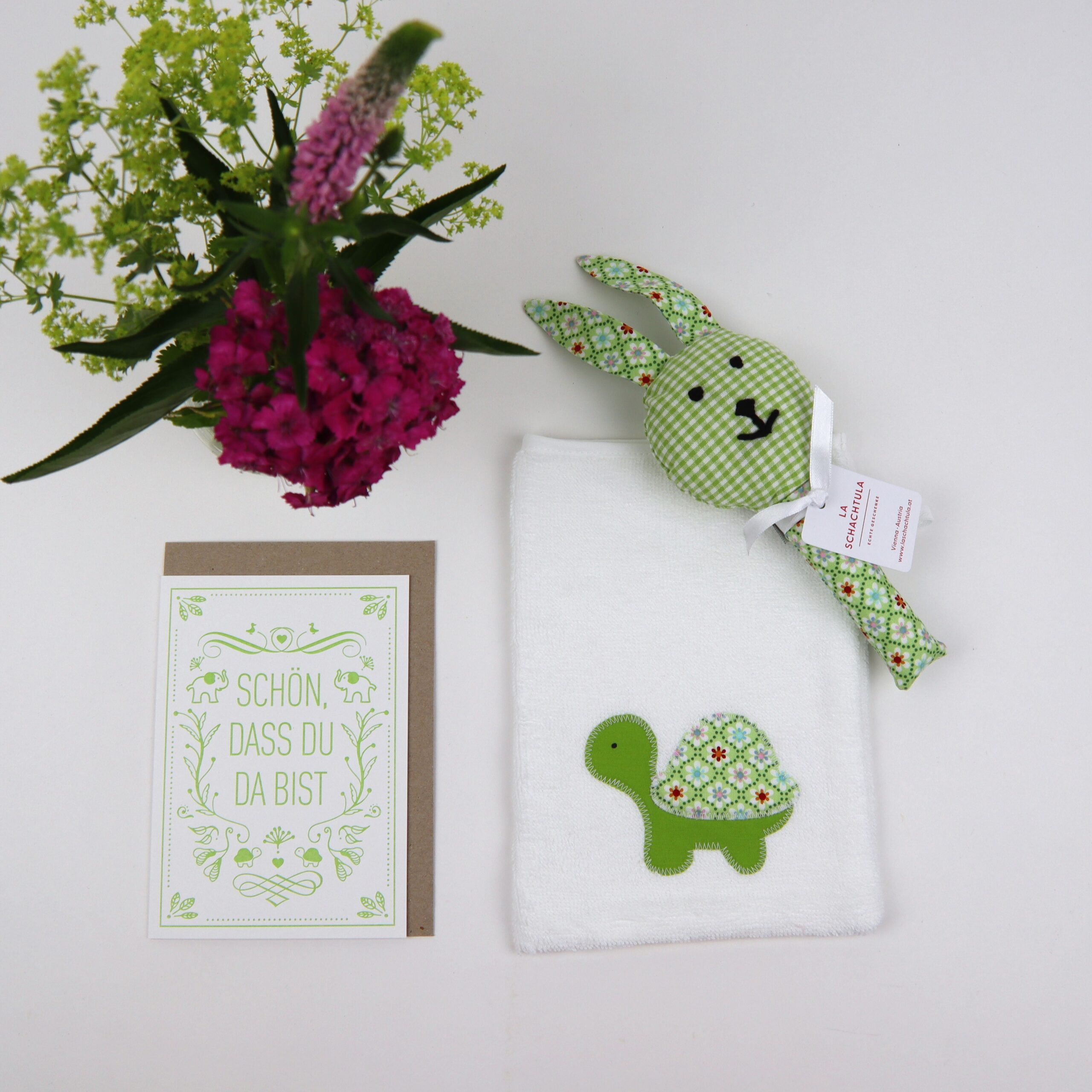 weiß-schildkröte-setklein2