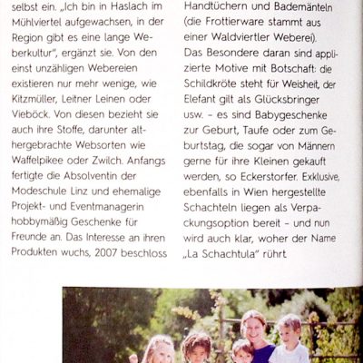 Wiener Zeitungsartikel September 2017
